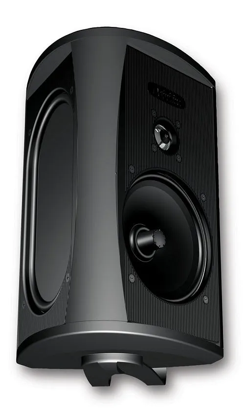 Definitive Technology AW5500 Outdoor Speaker (Each)