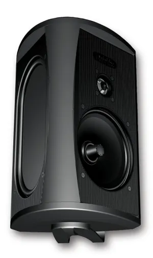 Definitive Technology AW5500 Outdoor Speaker (Each)